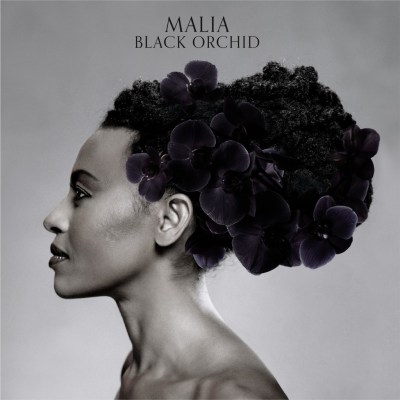Malia-Black_Orchid