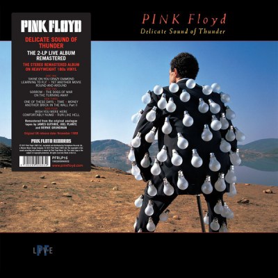 Pink-Floyd-Delicate-Sound-Of-Thunder