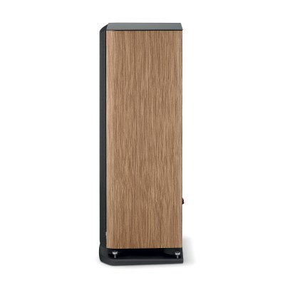 Focal Aria Evo X №2