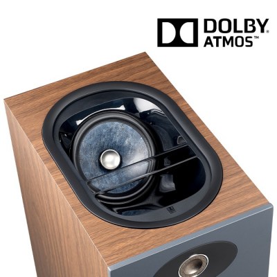 Focal Theva №3-D