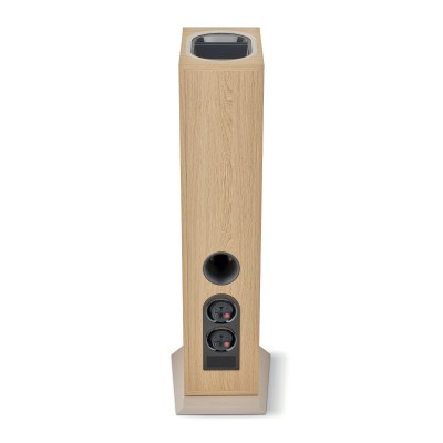 Focal Theva №3-D